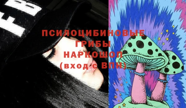 соль ск Пестово