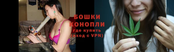 шишки Переславль-Залесский