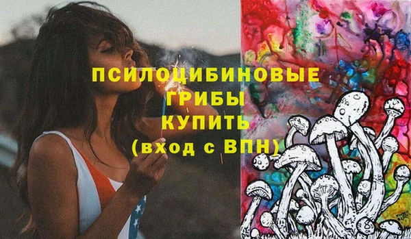 соль ск Пестово