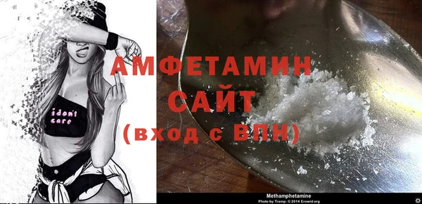 шишки Переславль-Залесский