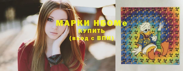 шишки Переславль-Залесский