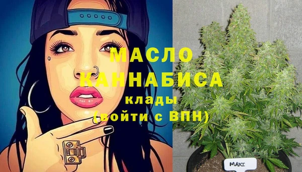 шишки Переславль-Залесский