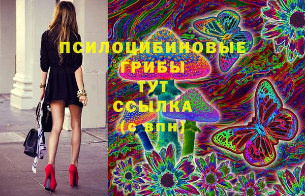 соль ск Пестово